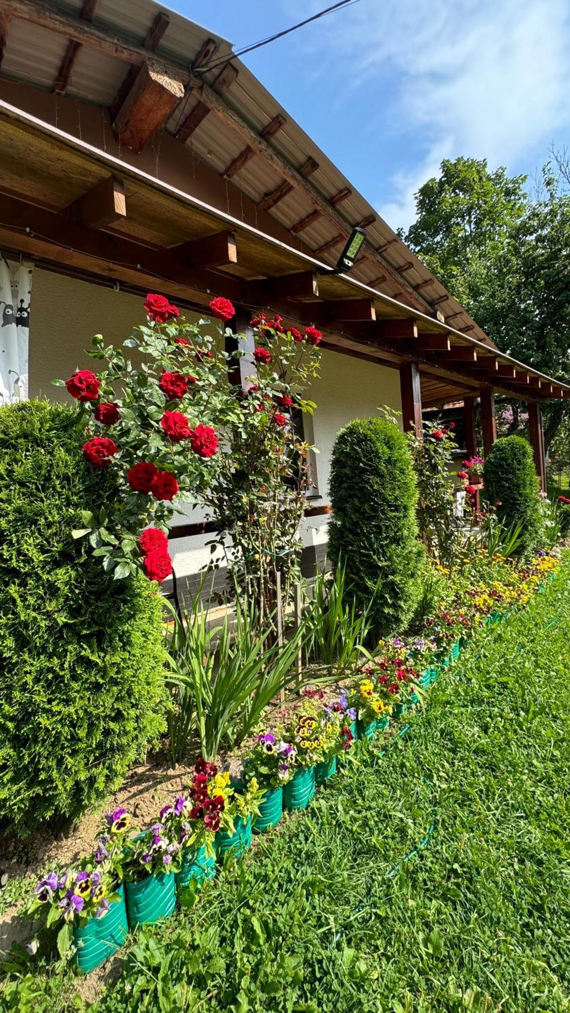 Dacha Podobovets 127 Hotel Exterior photo
