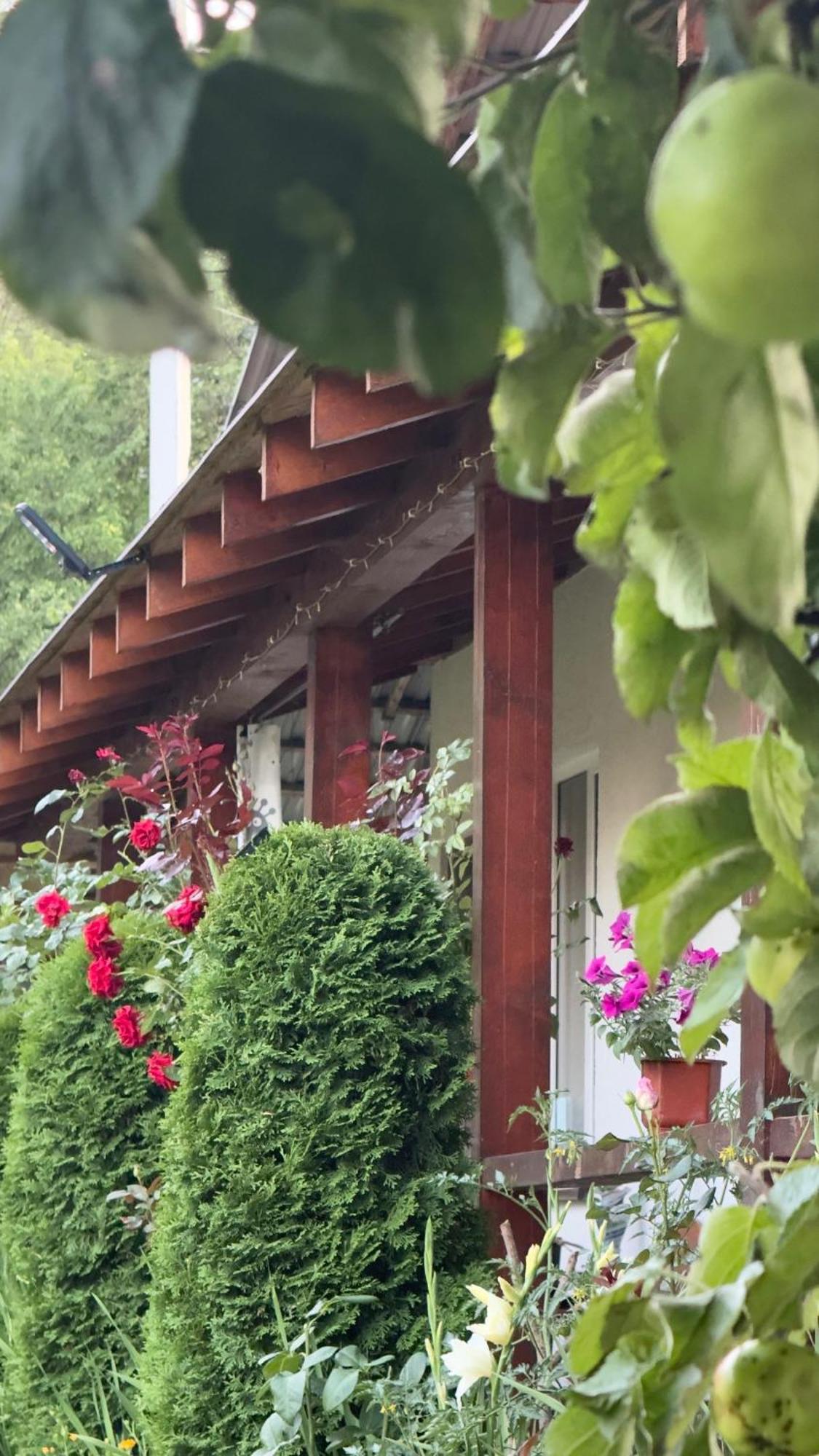 Dacha Podobovets 127 Hotel Exterior photo